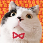 向玥-xy