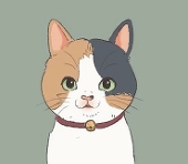 むみ*