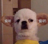乱牙君_kazu