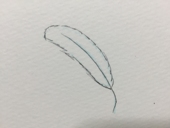 おもも