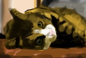夜ぺんぎん