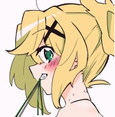 独楽キツネ