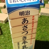 浅槻