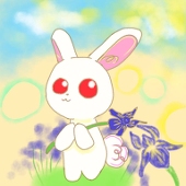 アヤメ