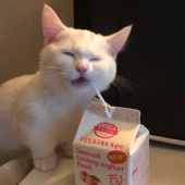 菠萝不长草