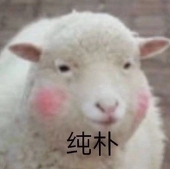阿雯www