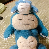 はるまき