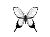alAtroph