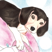 愛河加奈子