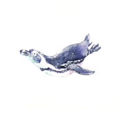kanou