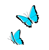 木