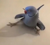 黒黒です