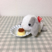 わかちぃ