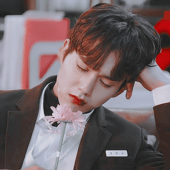 yunni.thedreami