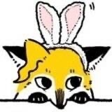 遥