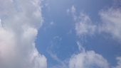 ひろかりん