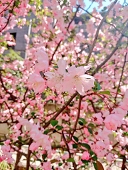 み。