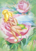 Dream