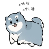 黑狼HLD