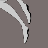 羽虫