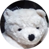 要塞シロクマ