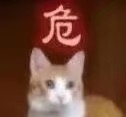 双枪