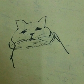 肥兔