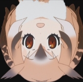 鹧鸪斋主