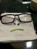 まこと