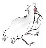 コトウ