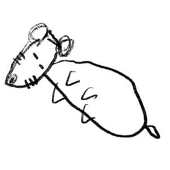 たんた