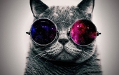 Anonymeow