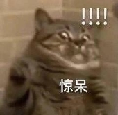 何不秉燭遊