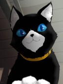 メオ