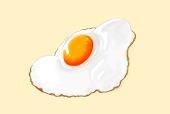 こんぼ
