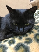 ナルク
