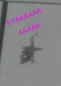 きも