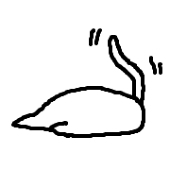 eat