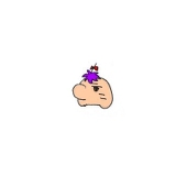 駒