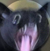 BeAbee