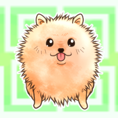 ミヤ