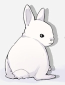 まるぴ