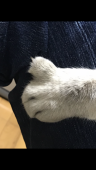 塩
