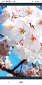 花蓮