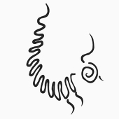 ZaR