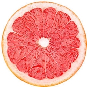 citrusBG