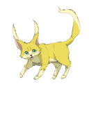 pasopy