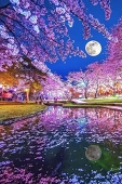 ムッタ
