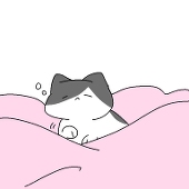 ﾎﾟﾙﾝｶﾞ