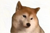 オスワリオワリ
